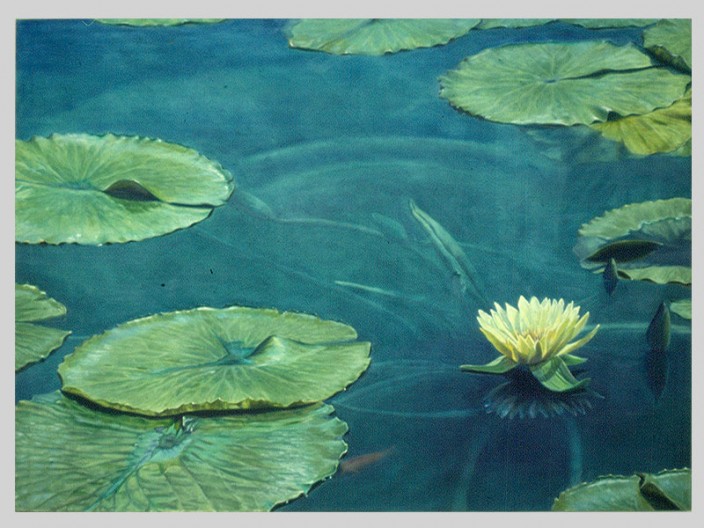 Waterlilly, Oil on canvas, 1987, ©2011, PPCD, LLC