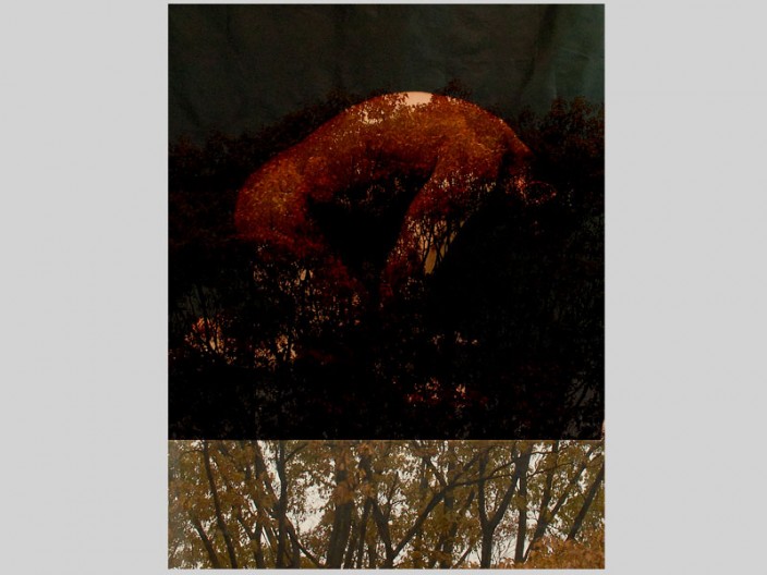 Emergent, digital print ©2011, PPCD, LLC