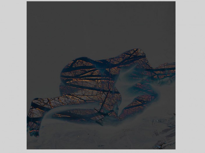 Prone, digital print ©2011, PPCD, LLC