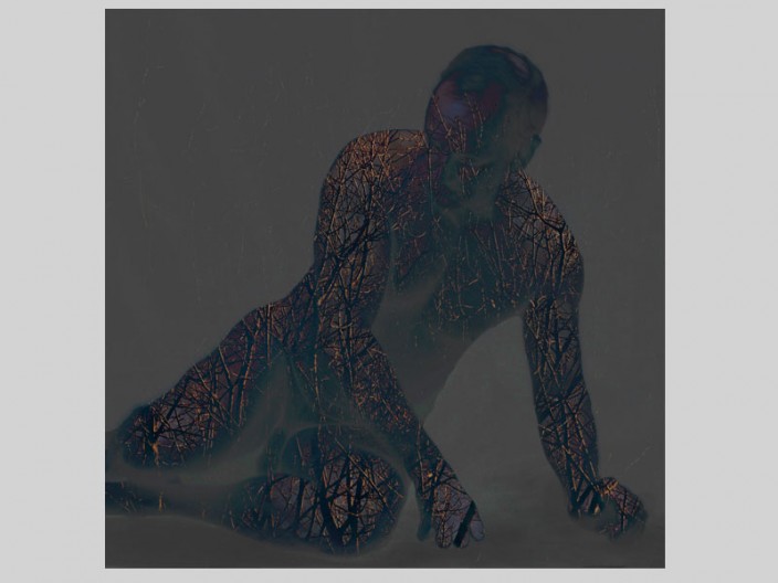 Wounded, digital print ©2011, PPCD, LLC