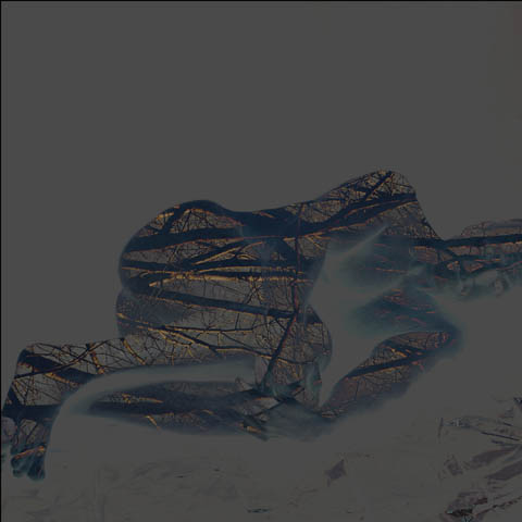 Pinkman_Paul_3_Prone-small