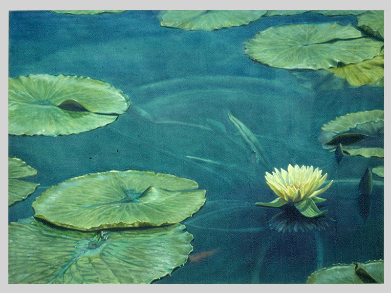 09-waterlilly