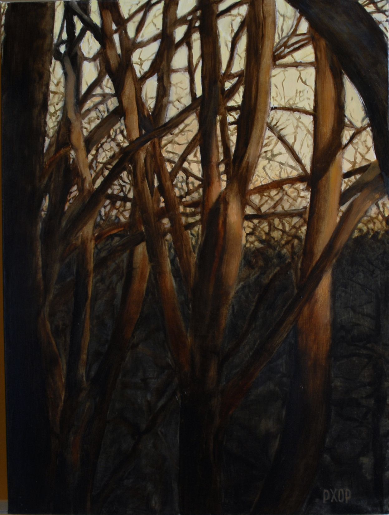 the-woods The woods, PE PInkman, 2014